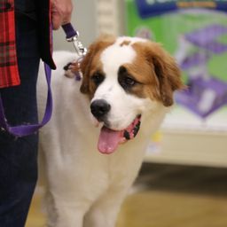 photograph by PeterW